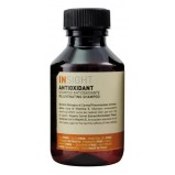 Шампунь Antioxidant Антиоксидант для Перегруженных Волос, 100 мл